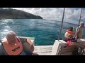 snorkeling with turtles in turtle bay curaÇao viral youtube viralvideo youtuber youtubeshorts