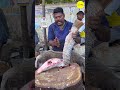 KASIMEDU SPEED SELVAM FISH CUTTING VIDEO / cutting focus #kasimeduselvam #bigfishcutting #bigfish