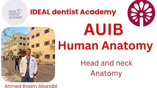 AUIB Head and neck Anatomy