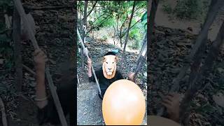 વાવ મમ્મી ફુગ્ગો 🎈| Wav Mom Balloons#viralvideo#shortsfeed