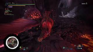 MHW I　渇きの理由　怒り喰らうイビルジョー　14分41秒　大剣　龍結晶