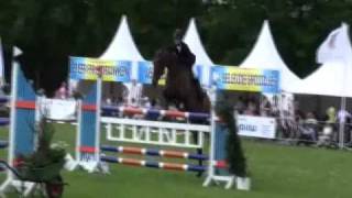 WBS Cincinnati Jumping horse