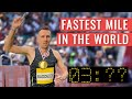 How I Ran the Fastest Mile In The World