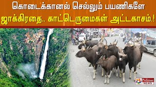 சாலையில் முகாமிட்ட காட்டெருமைகள்.. ஸ்தம்பித்த போக்குவரத்து.. அச்சத்துடன் மக்கள்!