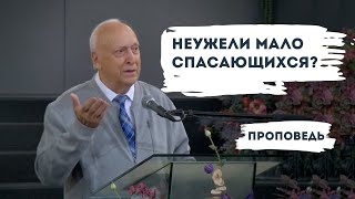 Неужели мало спасающихся? | Уроки ЧистоПисания