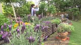 体験型ハーブ園開設　水戸市植物公園開園30年