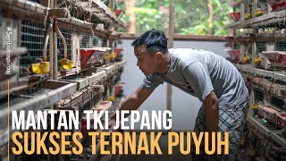 Kisah Inspiratif Mantan TKI Jepang Sukses Ternak Puyuh Petelur Kandang Sederhana Untung Melimpah