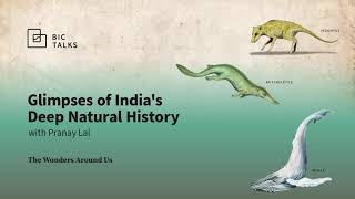 Glimpses of India's Deep Natural History