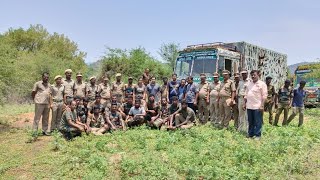 ஓசூர் வனக்கோட்ட உரிகம் வனசரகம் பிலிக்கல அடர்ந்த வனப்பகுதியில் யானைகளை விடுவிக்கப்பட்டது