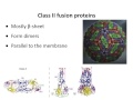 virology 2014 lecture 5 attachment and entry