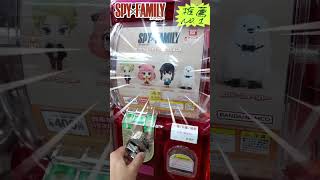 CUTEST Spy x Family Gachapon? 🥰 Will I Get Anya? 🤔 #shorts