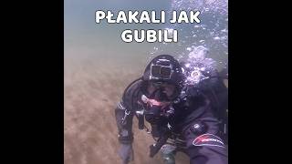 PŁAKALI JAK GUBILI 6  #nurkowanie #scubadiving #shorts