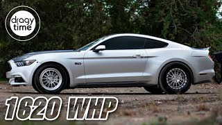 1620 WHP Ford Mustang S550 TWIN TURBO | Acceleration from 100-200 200-250 Km/h \u0026 60-130 100-150 mph