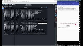 4.8 DIVA Beta Application - Improper Input Validation Part 2