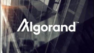 Algorand explained in under 5 minutes. (cryptocurrency)