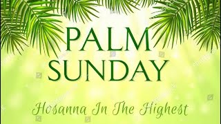 Happy Palm Sunday 🌿👑🌿