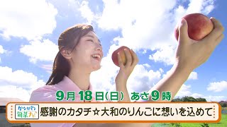 ウラナビ　9月18日放送：感謝のカタチ☆大和のりんごに想いを込めて