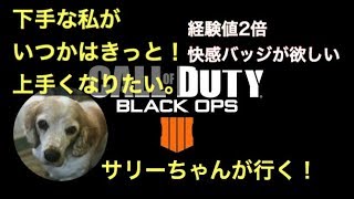 女性実況　素人初心者　コールオブデューティー　BO4　アドバイス、こめ歓迎