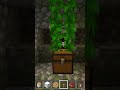 Nemu Harta Karun emas di Hutan minecraft#minecraft #shorts