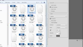 Photoshop Elements: Batch Processing Tip