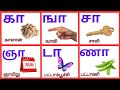 கா ஙா சா உயிர்மெய் எழுத்துக்கள் | க்+ஆ வரிசை சொற்கள் | kaa ngaa chaa in Tamil | UyirMei Ezhuthukkal