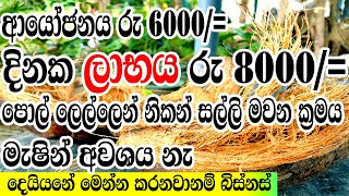 ගෙවල් වලින් පොල් ලෙලි එකතු කරලා ජීවිතය ජය ගනිමු|Pol leli වලින් ඉක්මනින් කෝටිපතියෙක් වෙමු #polleli