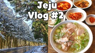 韓国旅行 / 한국여행 Vlog ㅣ済州島一人旅② ㅣサリョニ森道、済州島お肉蕎麦、オルレ市場、済州島みかんグッズ / 나홀로 2박3일 제주도 여행, 사려니숲길, 고기국수, 올레시장