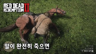 [RDR2] 말이 완전히 죽으면 이렇게 처리됩니다