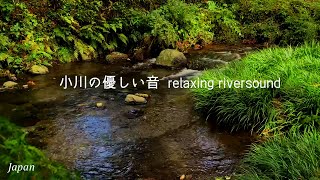 眠くなるせせらぎの音/新緑の小川/南阿蘇村・白川/natural healing sound/for sleep/Japan