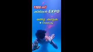 മത്സ്യ കന്യകയെ കാണാം 😍 | Magic land expo Chalakudy