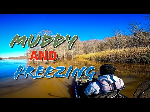 Fishing The WORSE Conditions on Santee Cooper Lake Marion Winter Bass Fishing