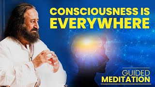 Consciousness Is Everywhere - Guided Meditation in English and Hindi by Gurudev
