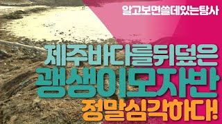 수만마리 파리떼~ 제주바다를 뒤덮은 괭생이모자반~ 직접보니 정말 심각해요! | 알쓸리뷰X뚜스커바리