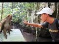 SHOCKED BOY. HE PANICKED! *MOST OVERLOOKED ACTIVITY IN LANGKAWI*