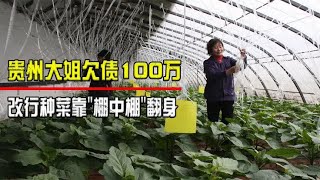 贵州大姐欠债100万，改行种菜靠\