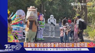 初三最塞! 壽山動物園迎高峰估2萬人次.刮刮樂攤拚人氣｜TVBS新聞 @TVBSNEWS01