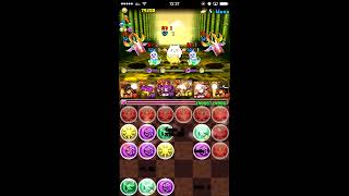 パズドラ　聖獣達の楽園　天極の黄龍　究極ヤマトタケルPT