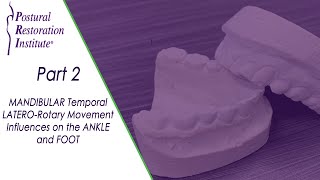 Mandibular Temporal Latero–Rotary Movement Influences - Part 2