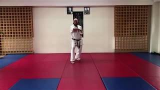 Sensei Levan Rogava - Saifa