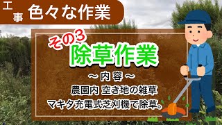 【除草作業】その3：農園内 空き地の雑草をマキタ充電式芝刈機で除草しました。