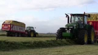 Silage Mean and Green