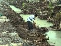 Reducing Indonesia's Peatland Fires