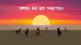 2021 Happy new year│ 동거일기│번외 │고양이 / 강아지 / 일상툰/3Danimation