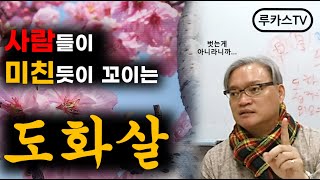 인기 많은 사주? 자신의 도화살 5분만에 확인하기