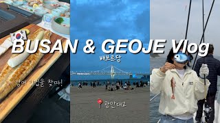 🇰🇷여행 배브르당 vlog | 3주전에 다녀온 부산 • 카이센동 맛집을 찾다! • 광안리 어방축제 • 부전시장 • 거제도 한화리조트 • 선상낚시체험 성공🐟 • 통영 풍화충무김밥