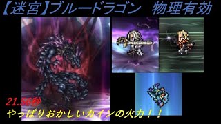 【FFRK】【迷宮】ブルードラゴン（物理有効）21.56秒