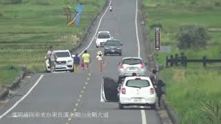 盧明通開車來台東長濱金剛山大道4撿稻穗