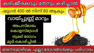 എല്ലാ രോഗങ്ങൾക്കും ആശ്വാസം കിട്ടാൻ കരിംജീരകം ഇങ്ങനെ കഴിക്കൂ benefits of black seed