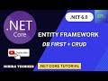 How to use  Entity Framework Core in ASP.NET Core 6.0 MVC | Database First Approach