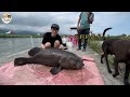 【移民台灣生活】香港爸爸在台灣實現夢想 台灣釣魚場真的很好玩 我們曾經被遺留在龜山島 ft. @emmasleeptaiwan